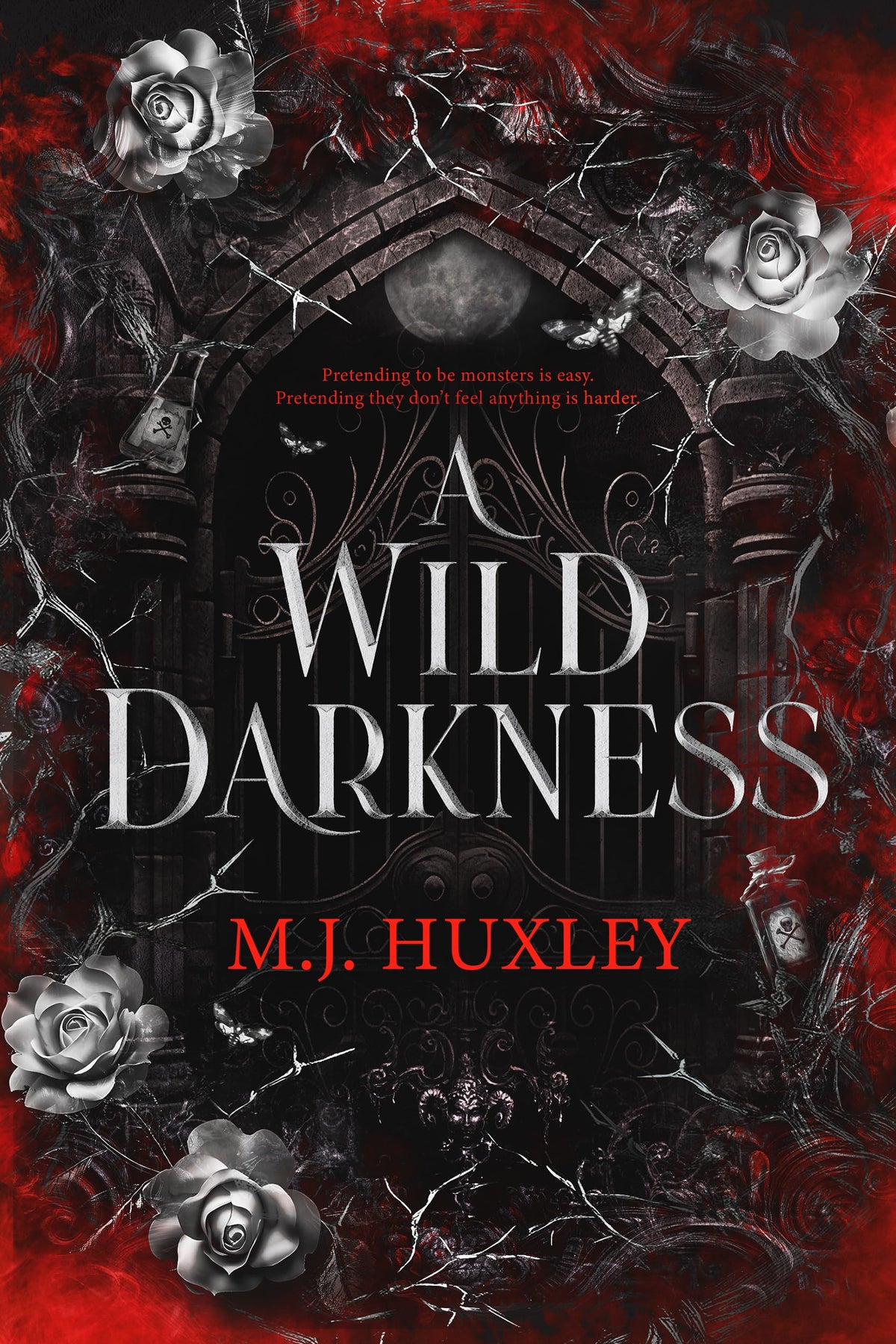 A Wild Darkness