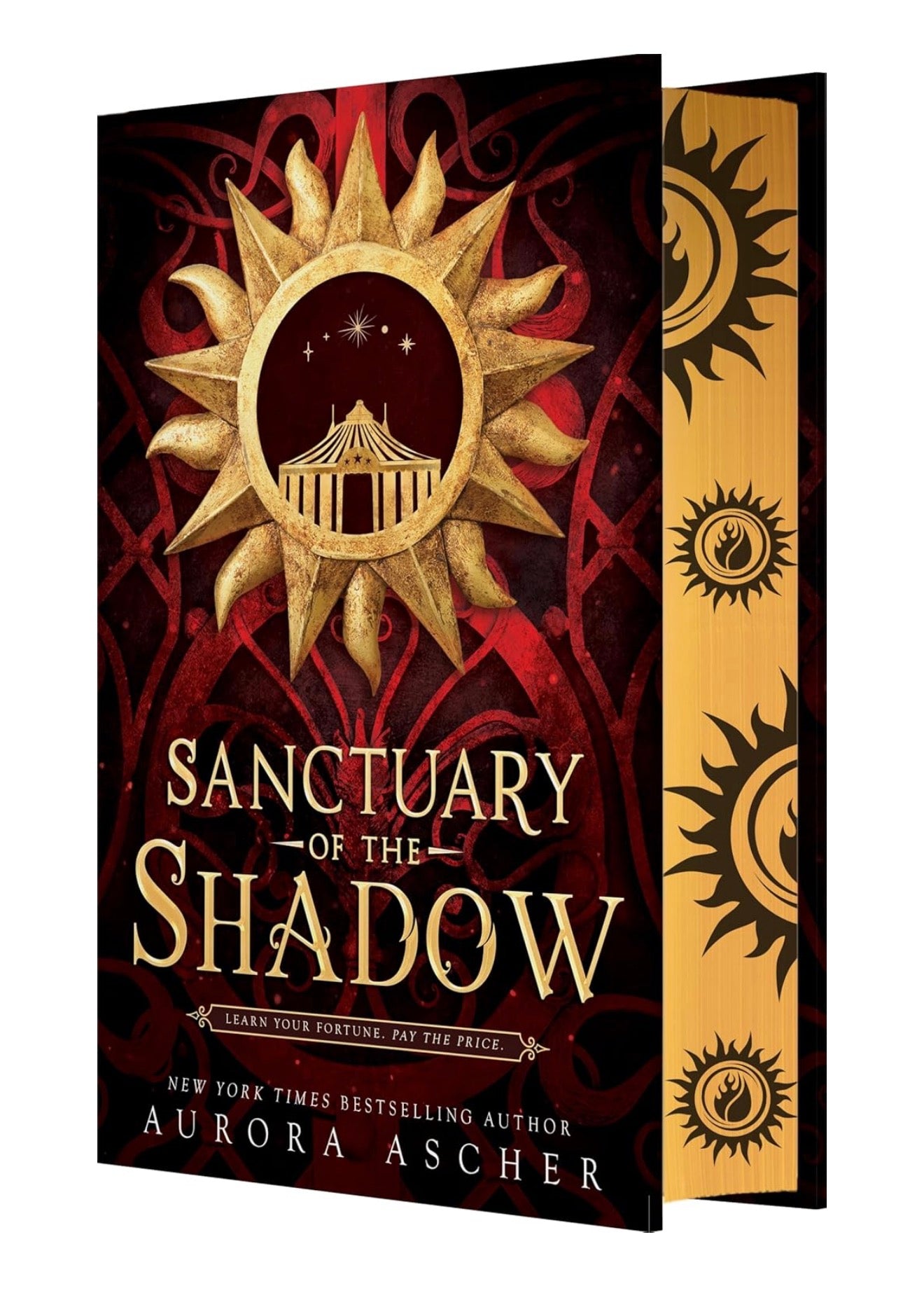 Sanctuary of the Shadow (Used, Hardcover)