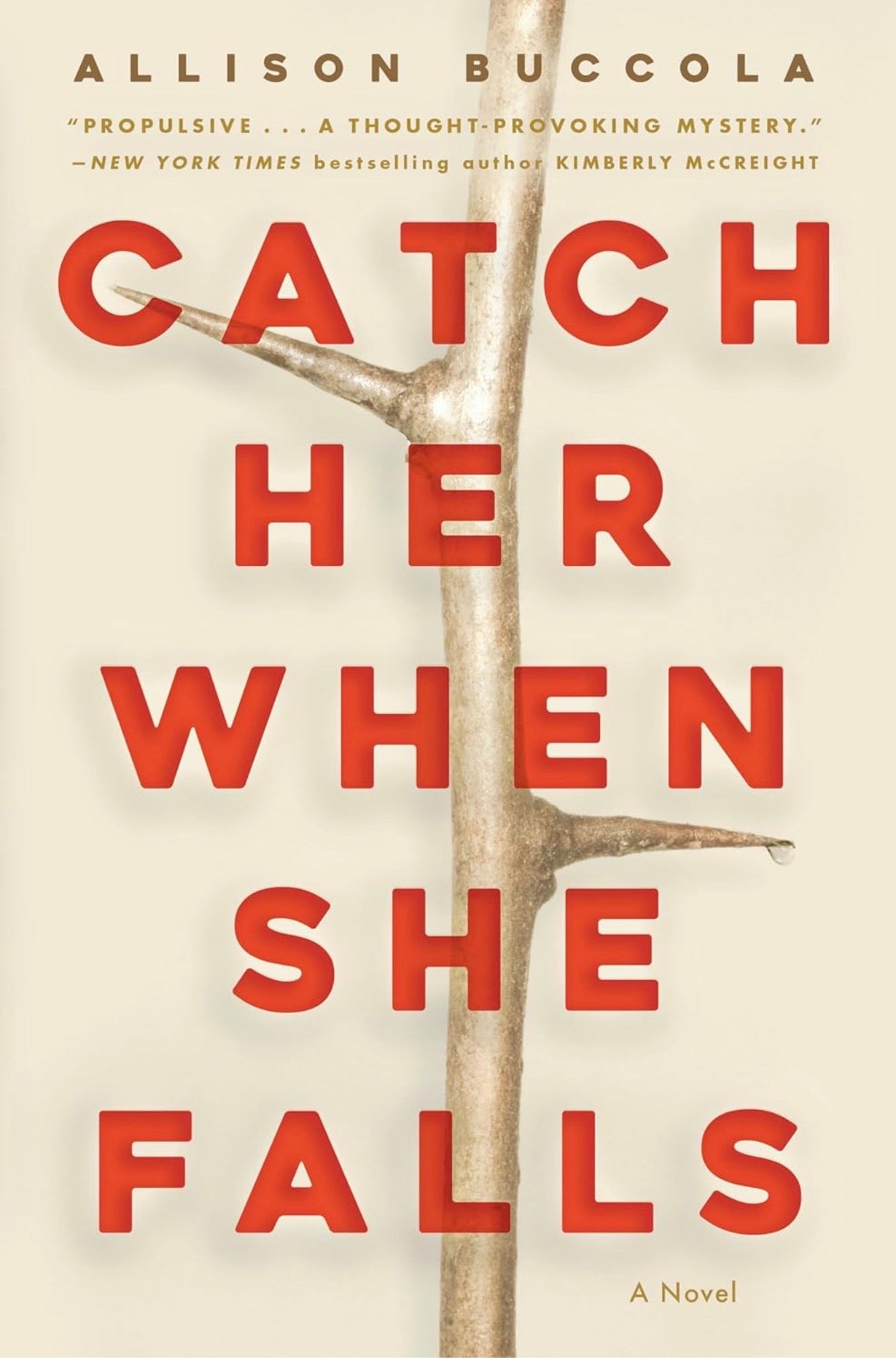 Catch Her When She Falls (Hard Cover)