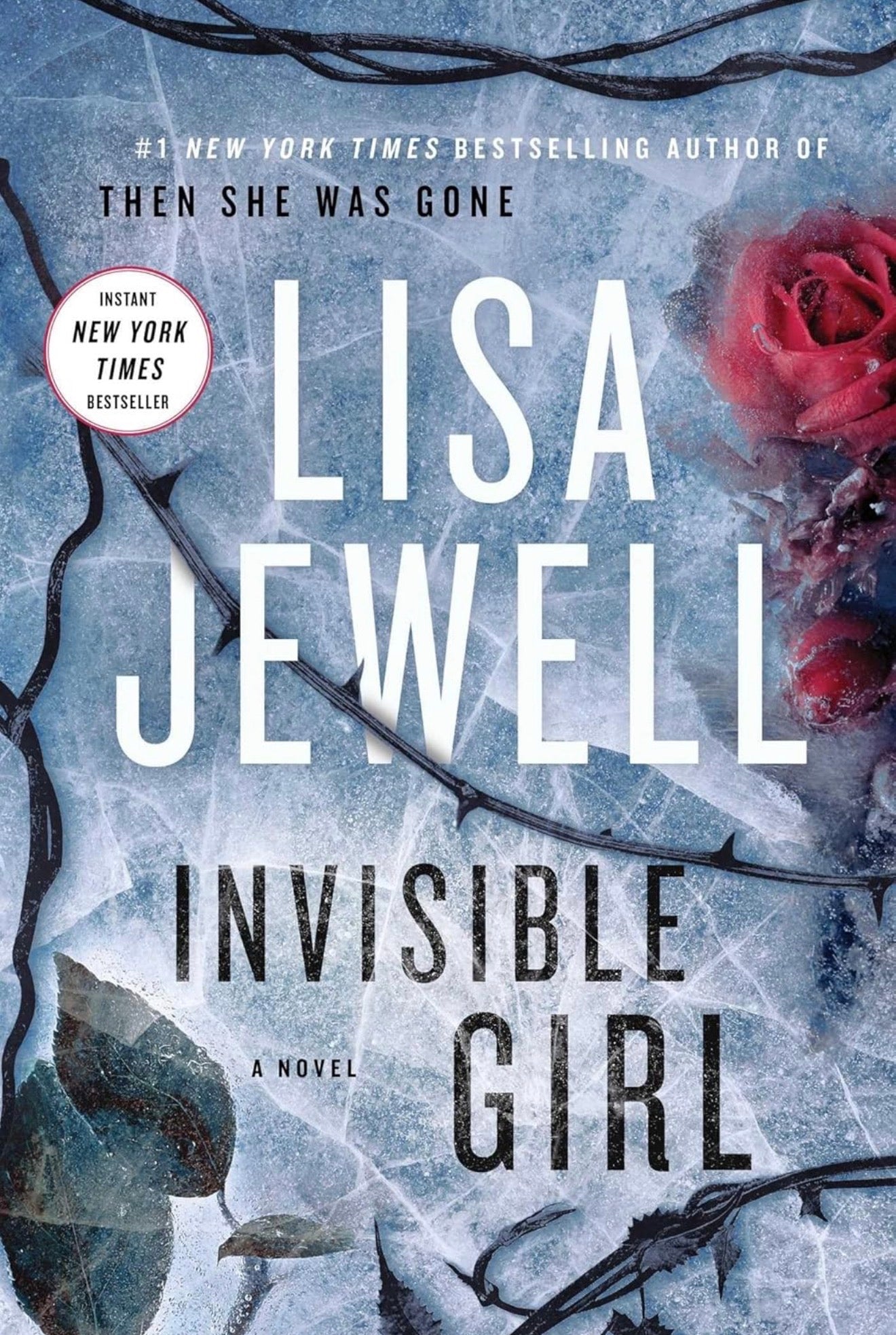 Invisible Girl (Hard Cover)