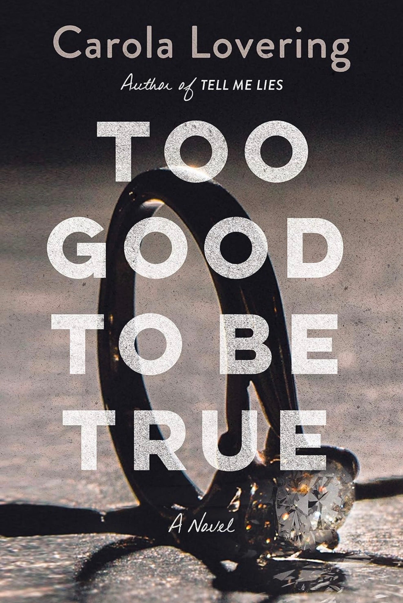 Too Good To Be True (Hard Cover)