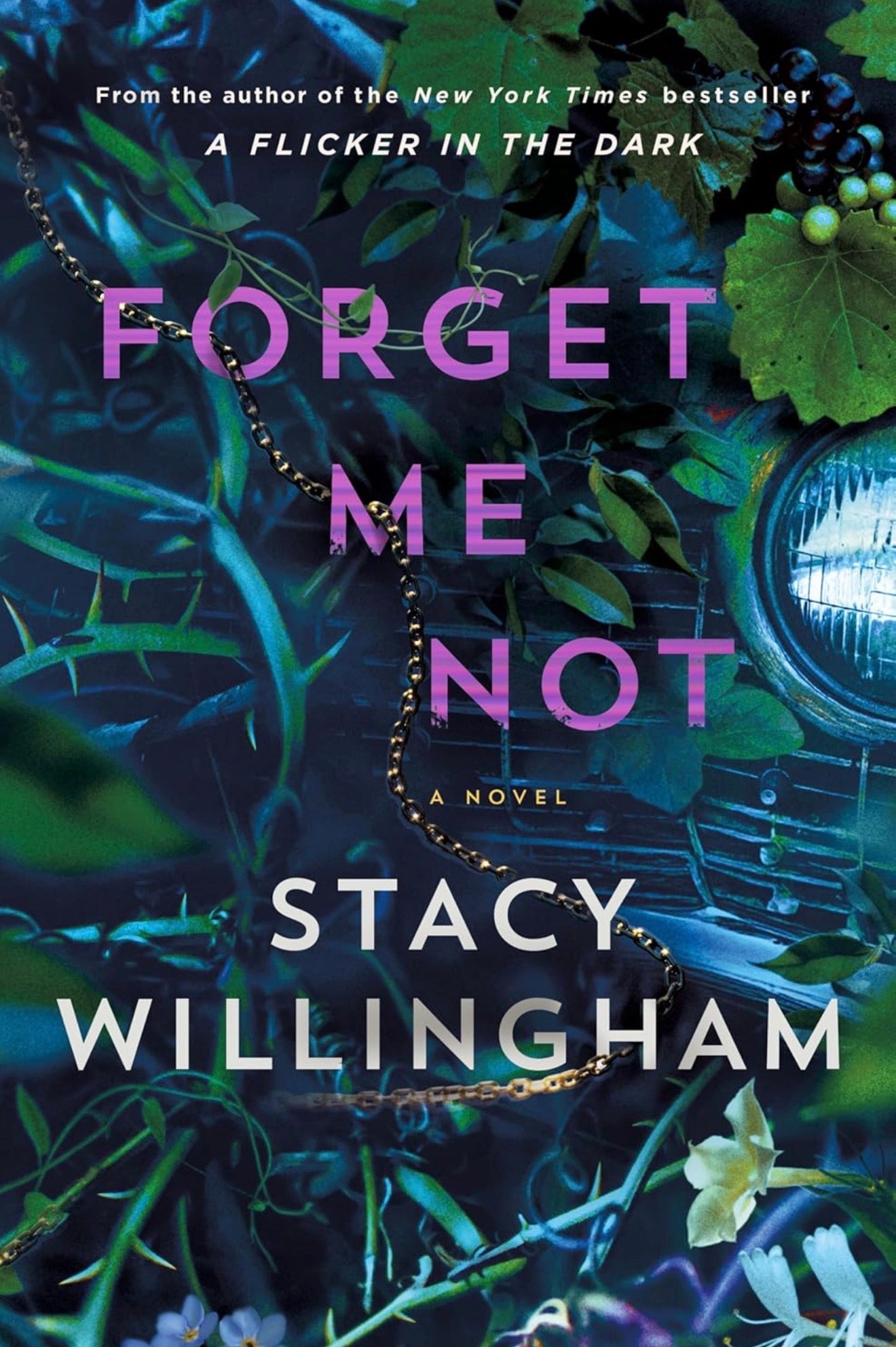 Forget Me Not (Hard Cover)