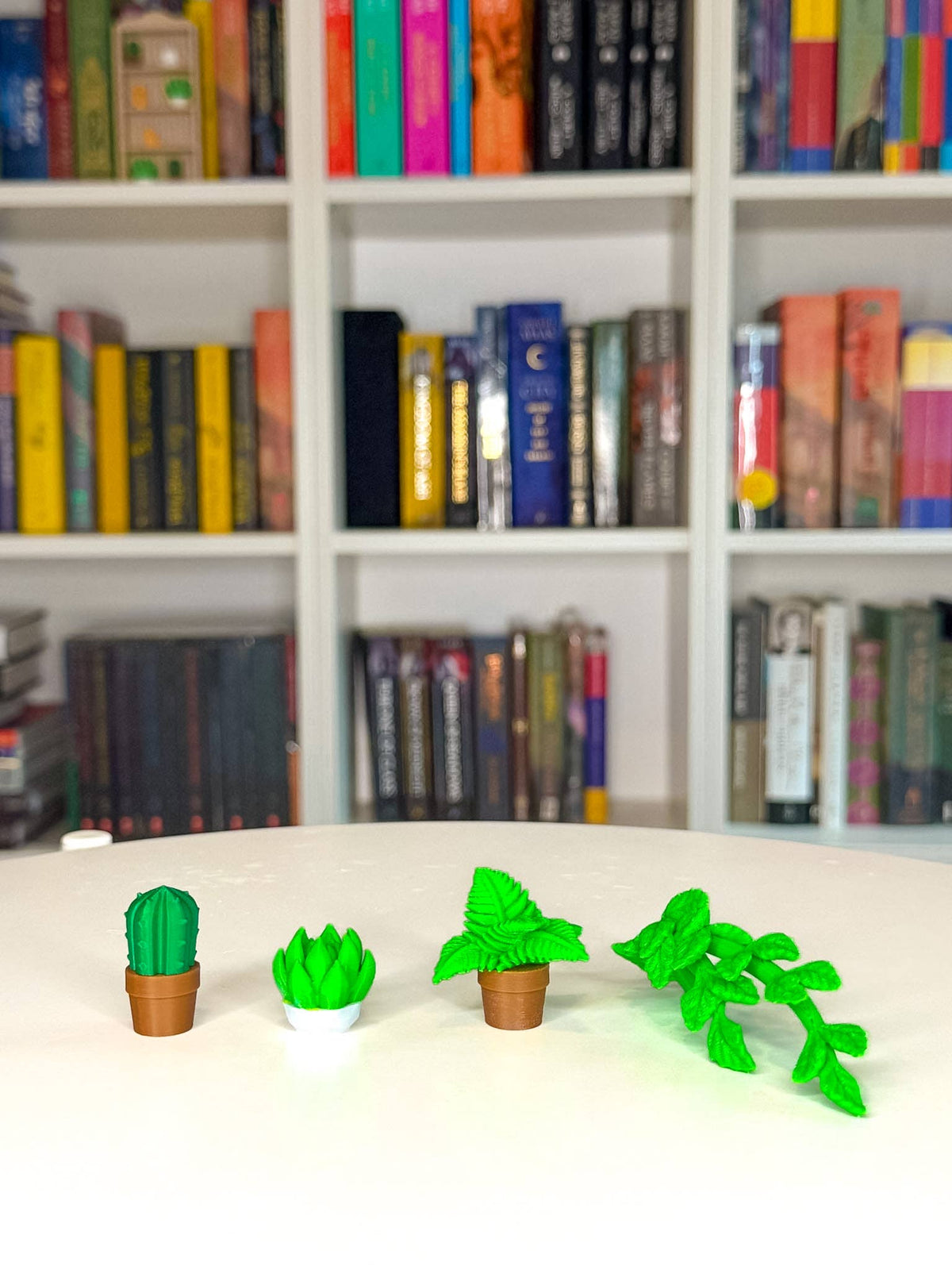 Cozy Plant Trinket Pack