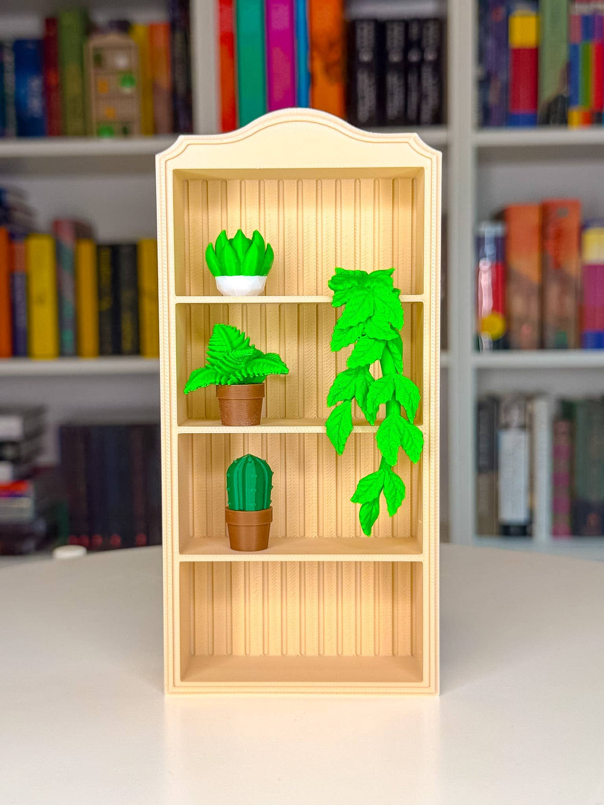 Cozy Plant Trinket Pack