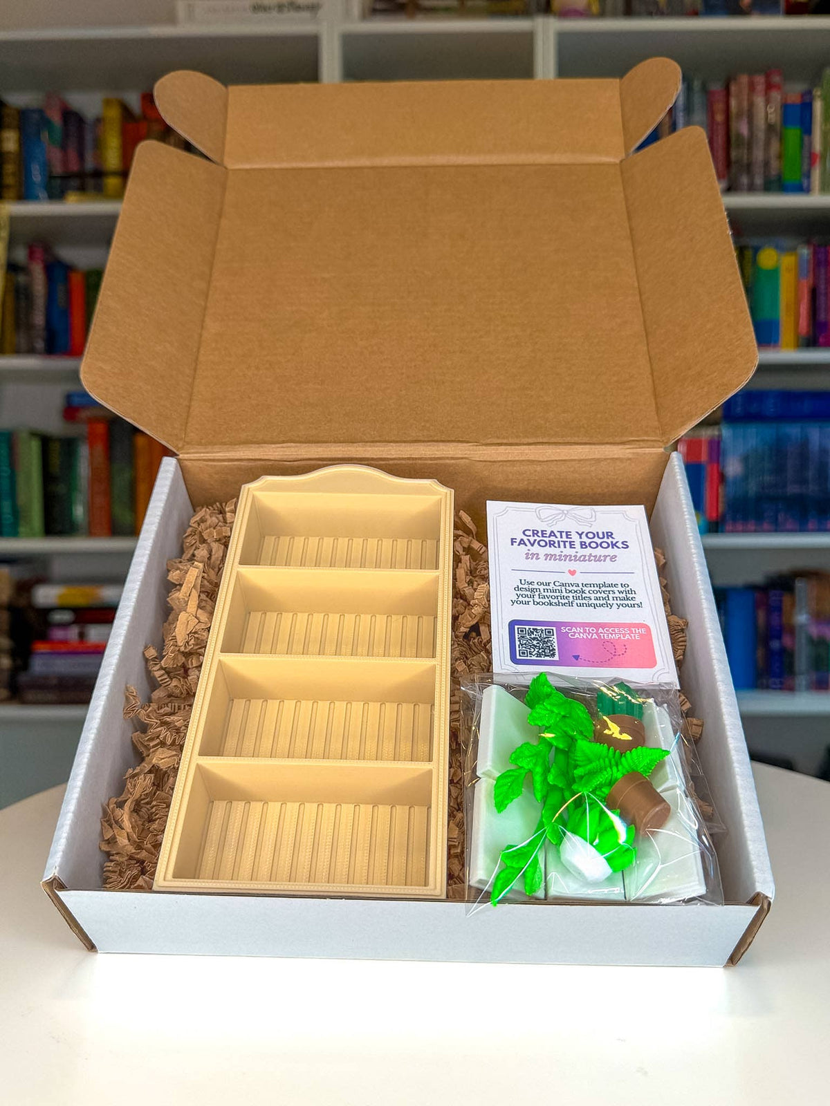 Build Your Own Mini Bookshelf Kit
