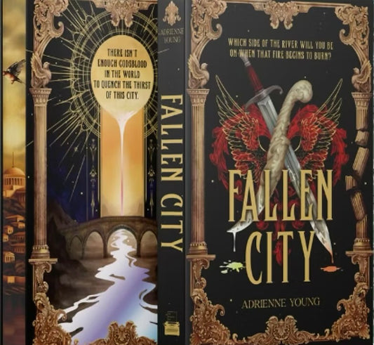 Fallen City Book(ish) Box Edition