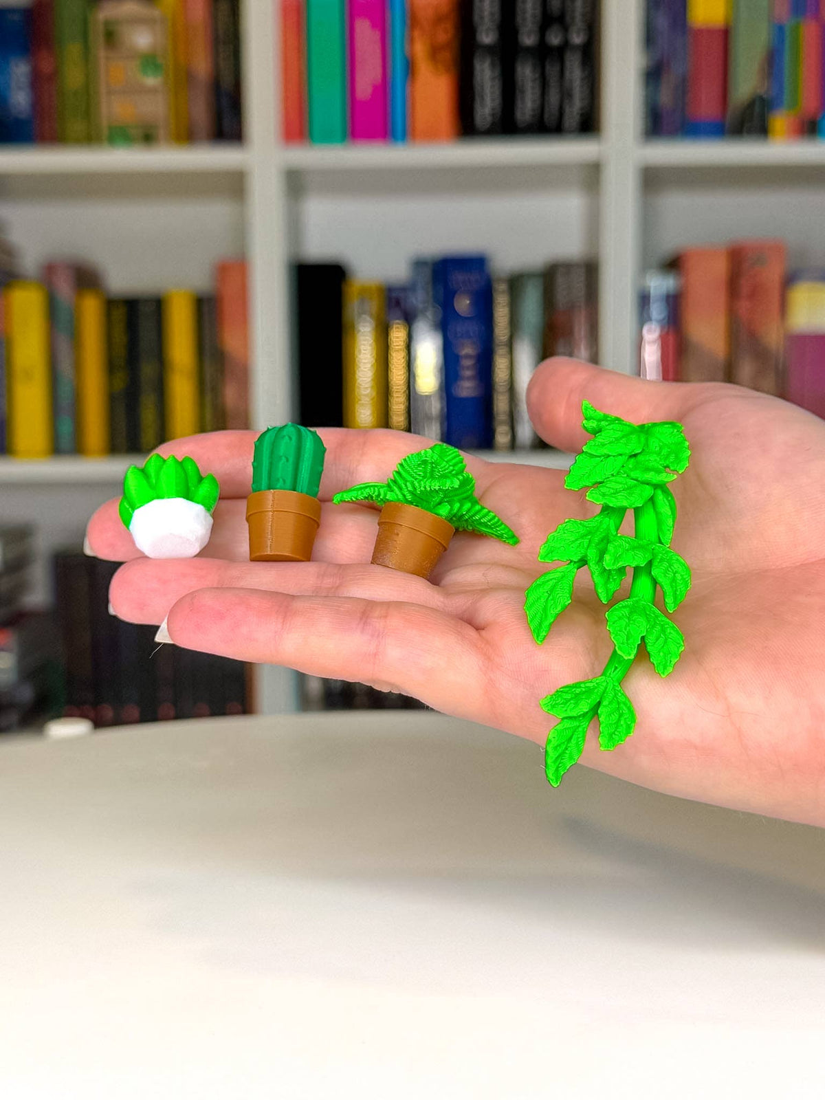 Cozy Plant Trinket Pack