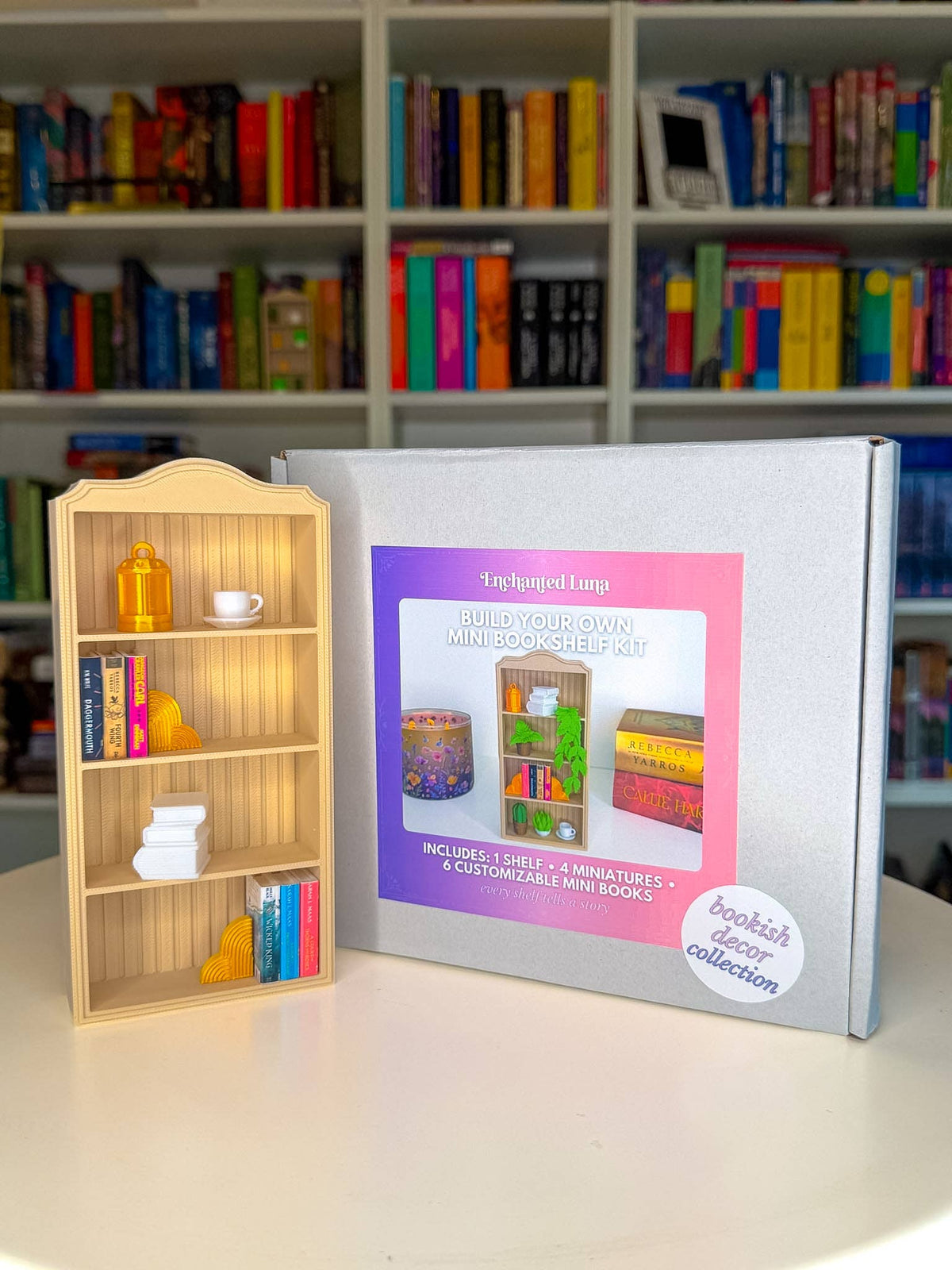 Build Your Own Mini Bookshelf Kit