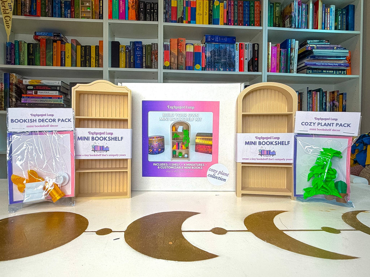 Build Your Own Mini Bookshelf Kit