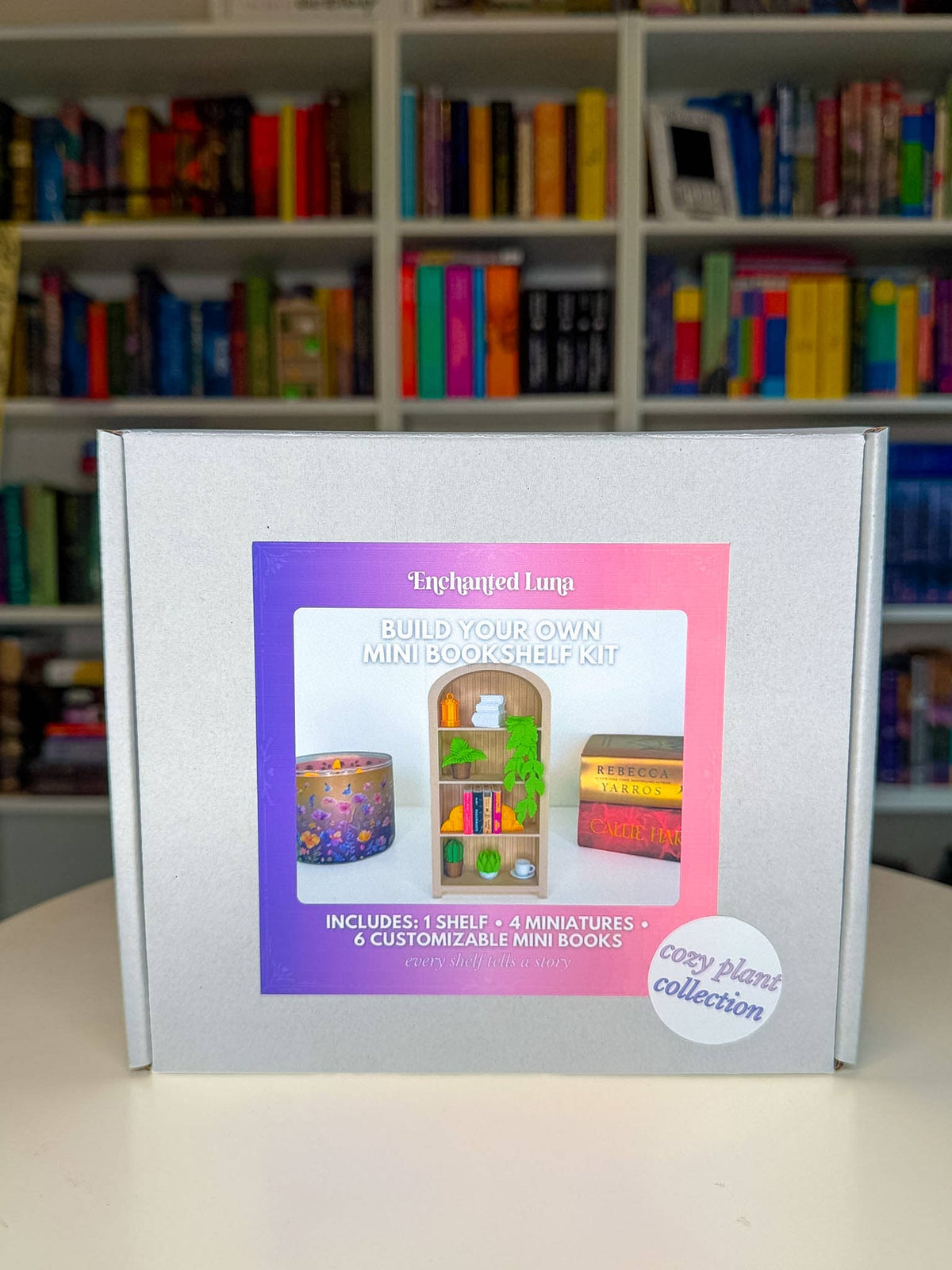 Build Your Own Mini Bookshelf Kit