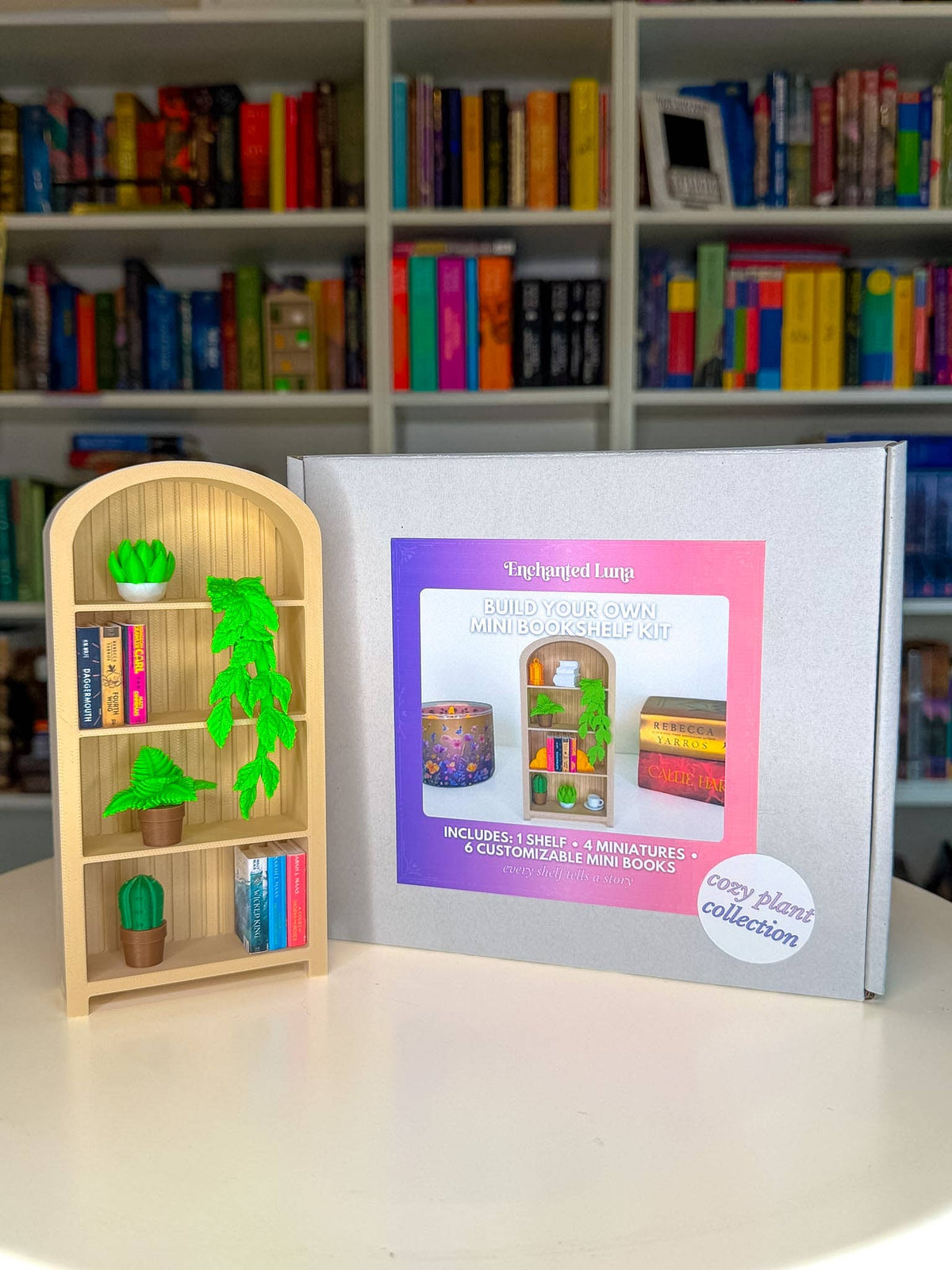 Build Your Own Mini Bookshelf Kit