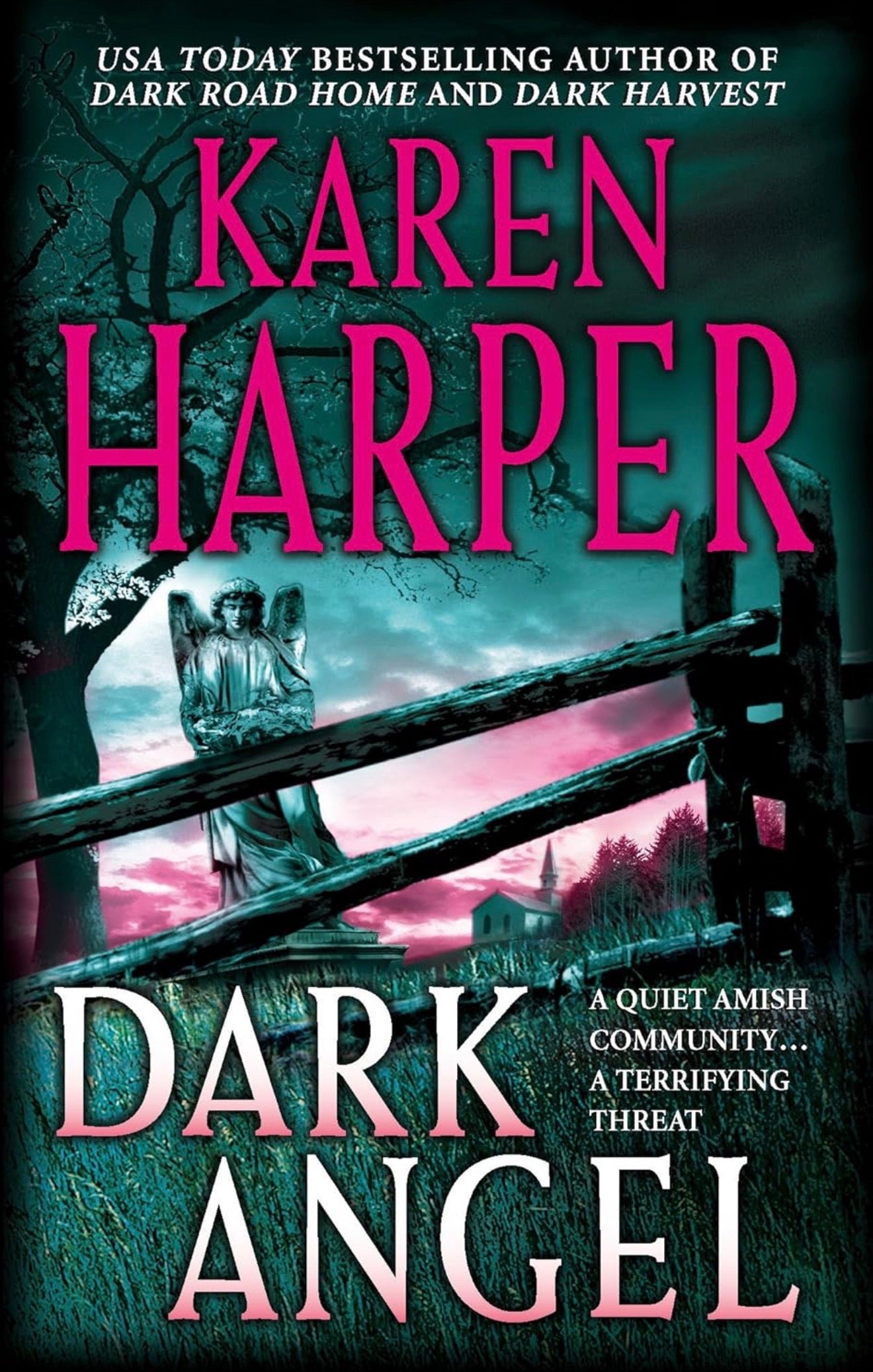 Dark Angel (Used)