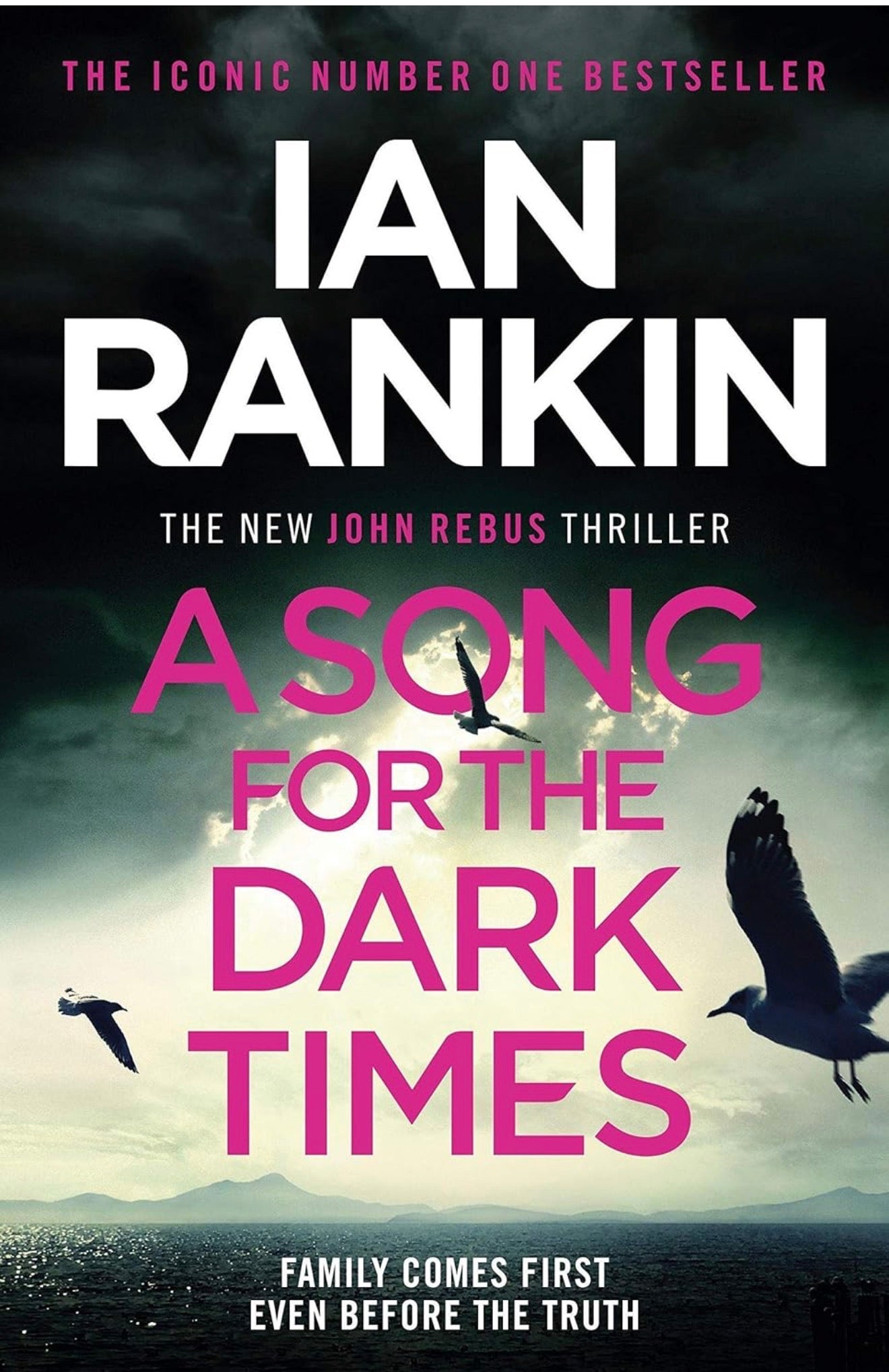 A Song For The Dark Times (Used)