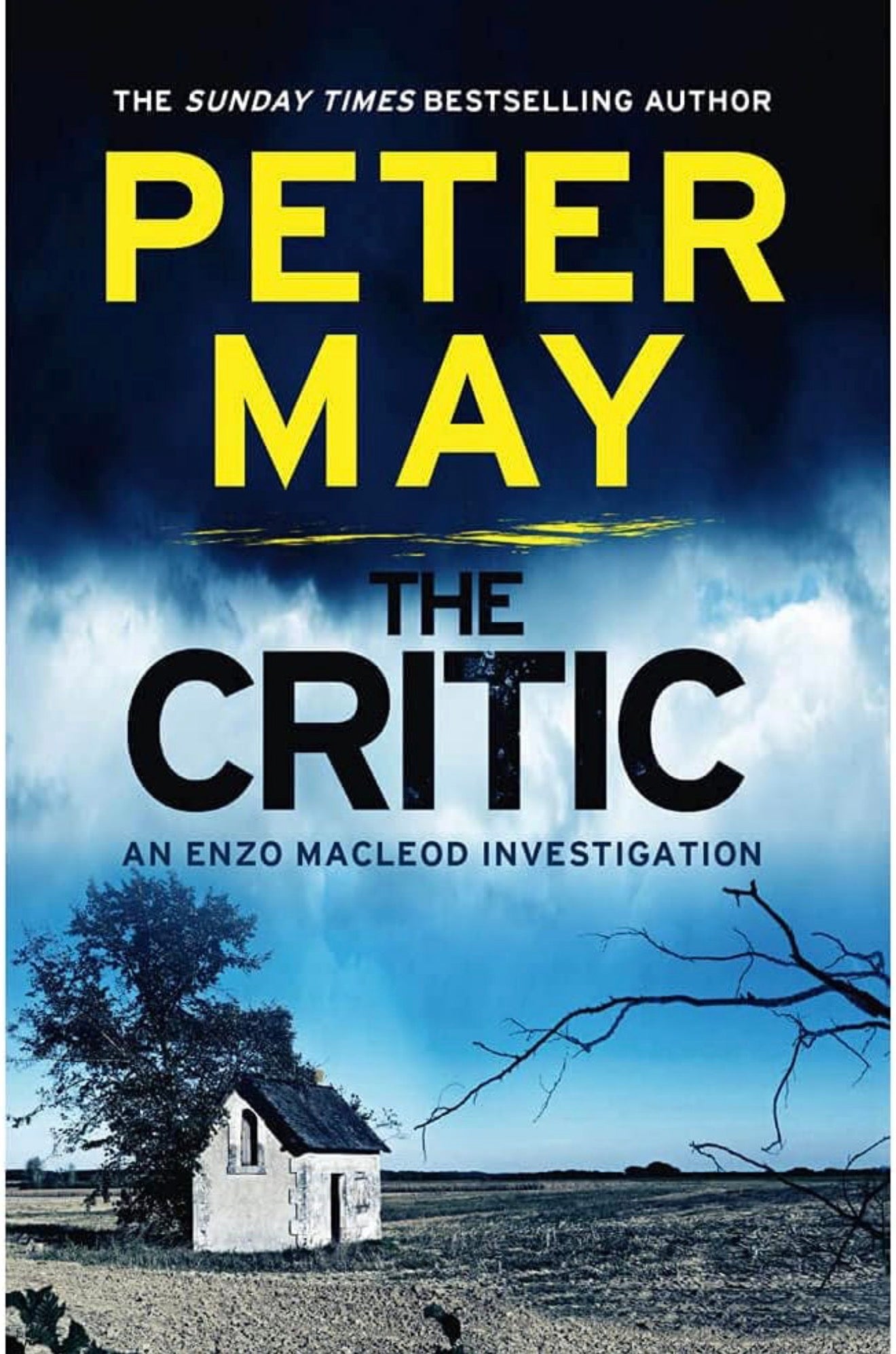 The Critic