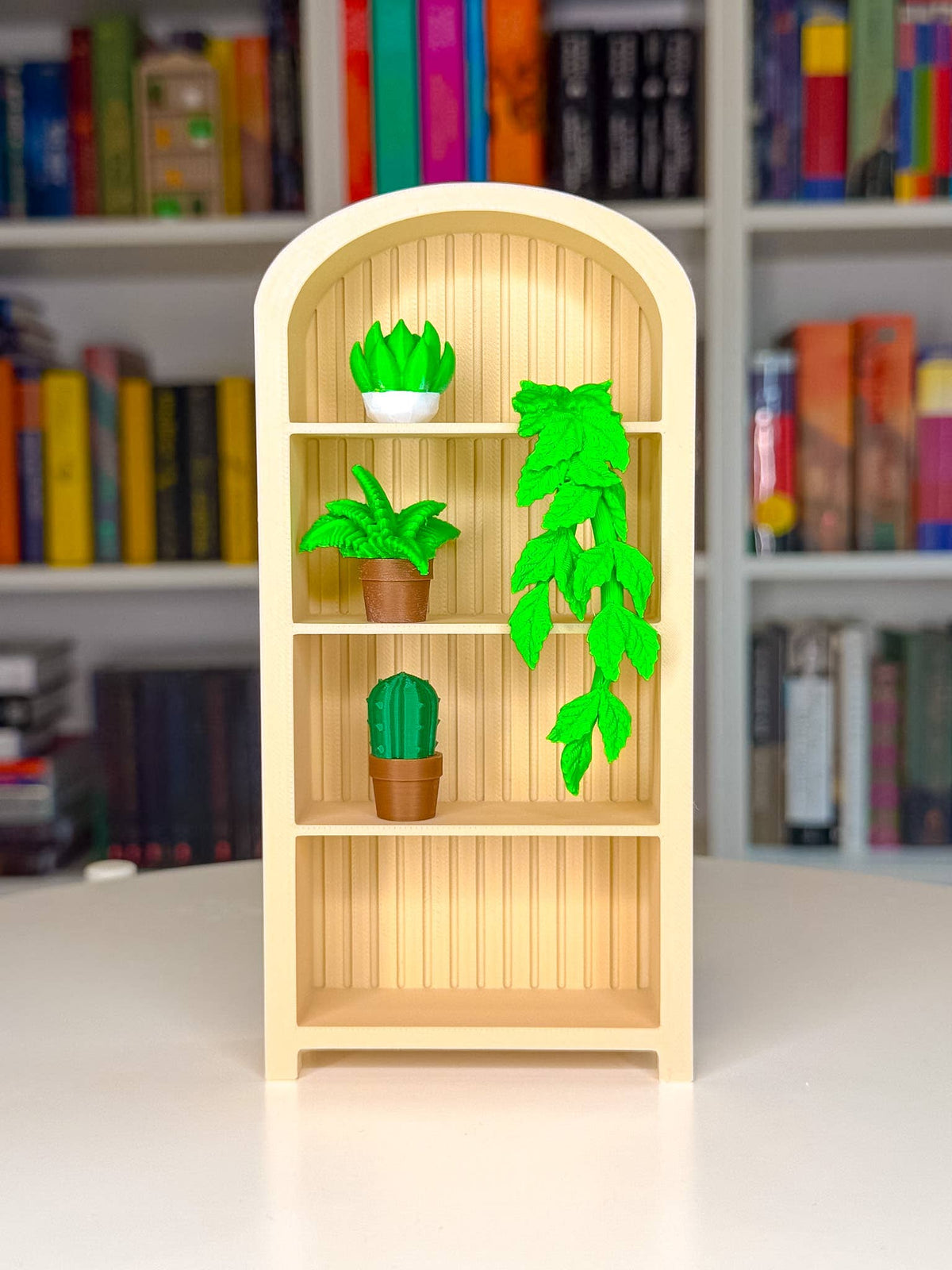Cozy Plant Trinket Pack