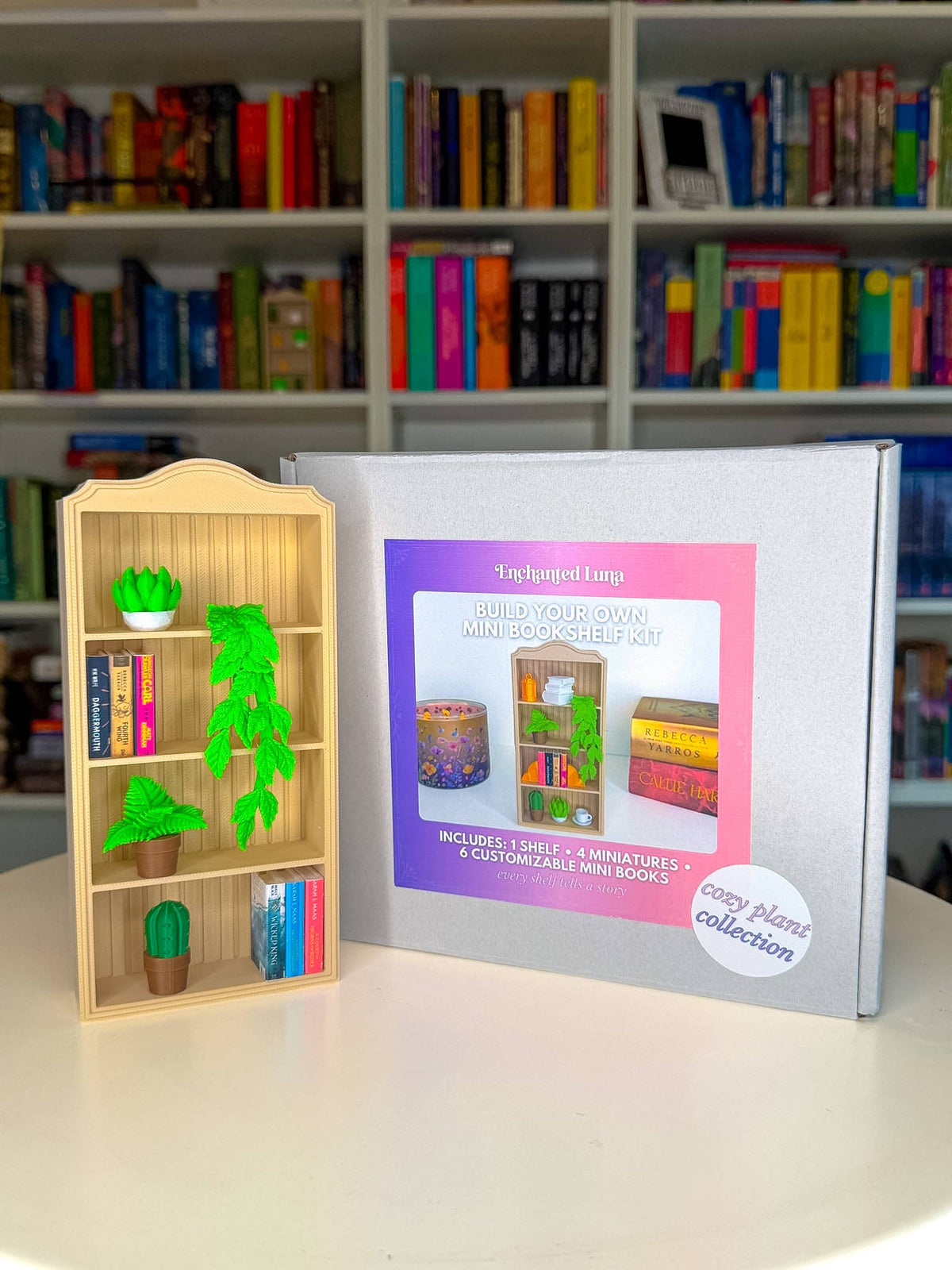 Build Your Own Mini Bookshelf Kit